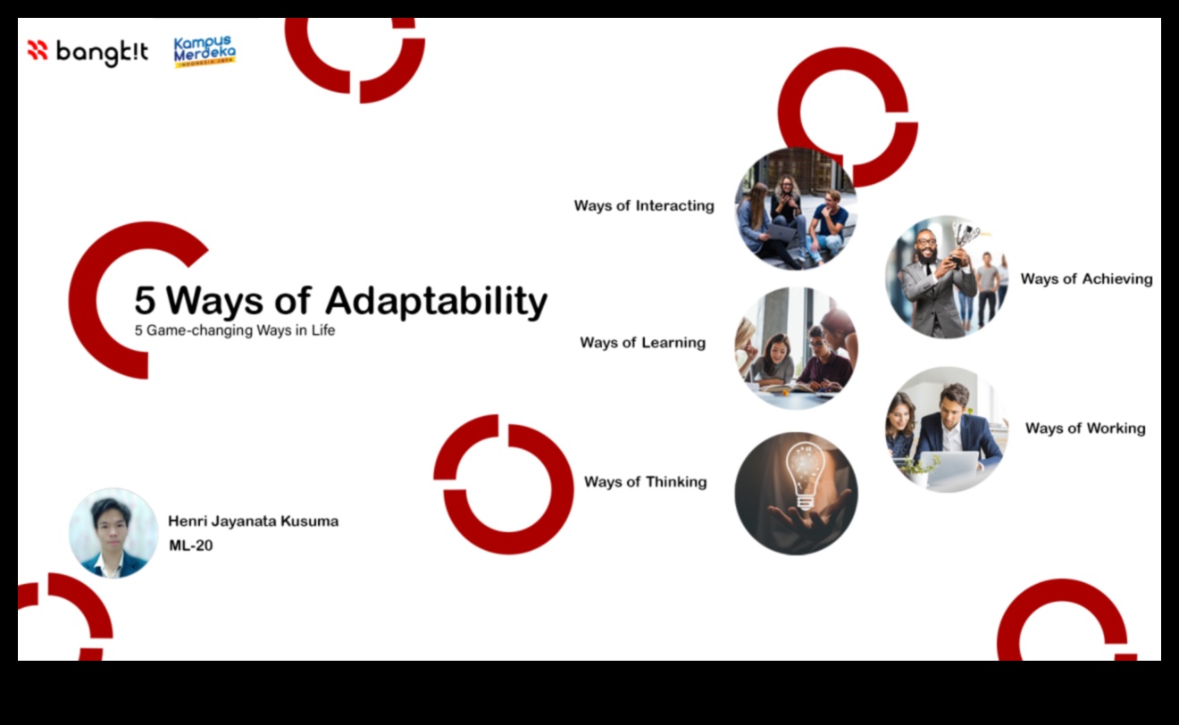 Elastības pamati: dinamiskas dzīves celtniecības bloki