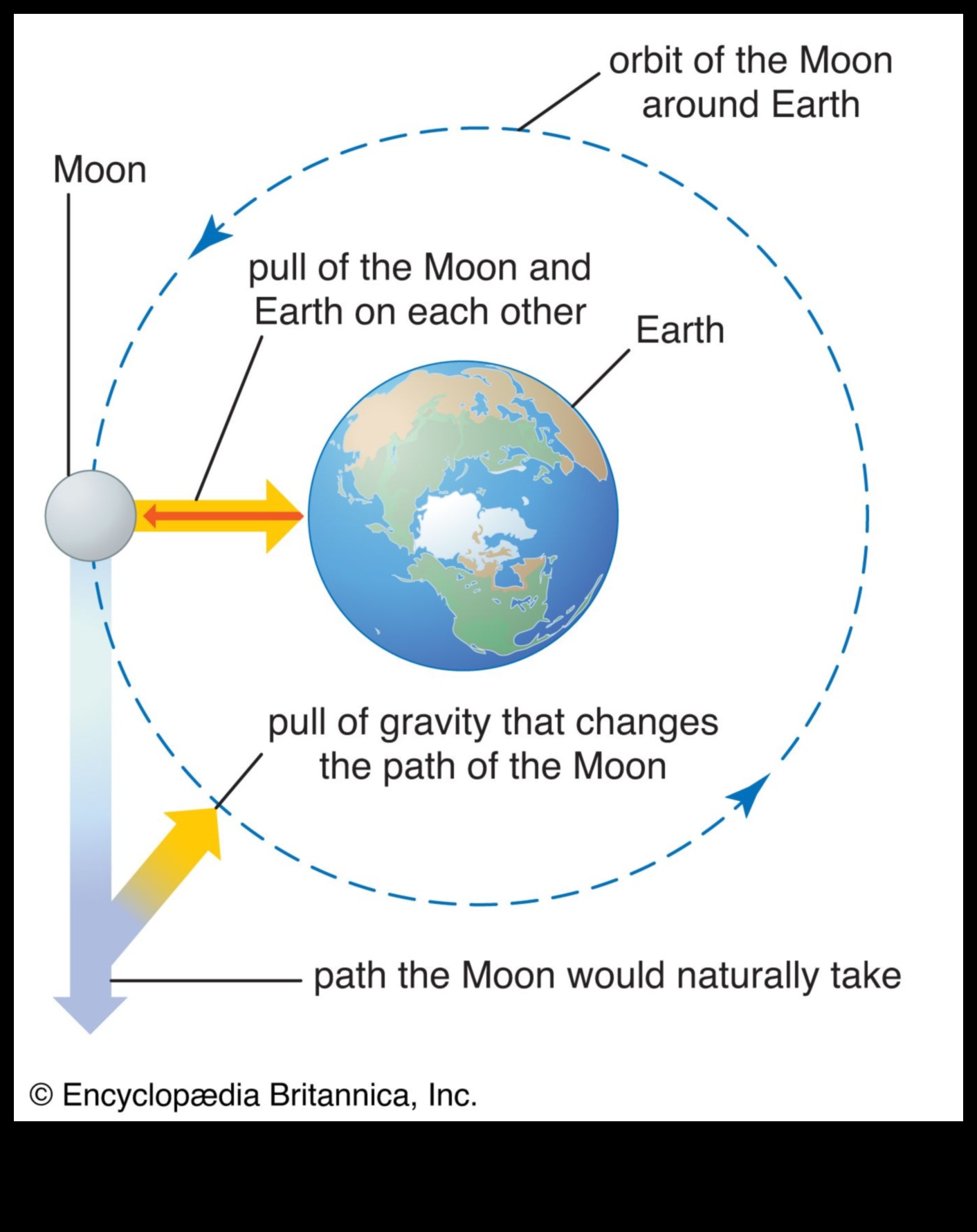 Orbitālie spēki: Gravitācijas dinamikas izpratne