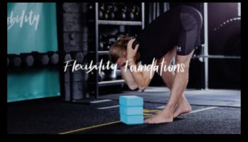 Elastības pamati: dinamiskas dzīves celtniecības bloki