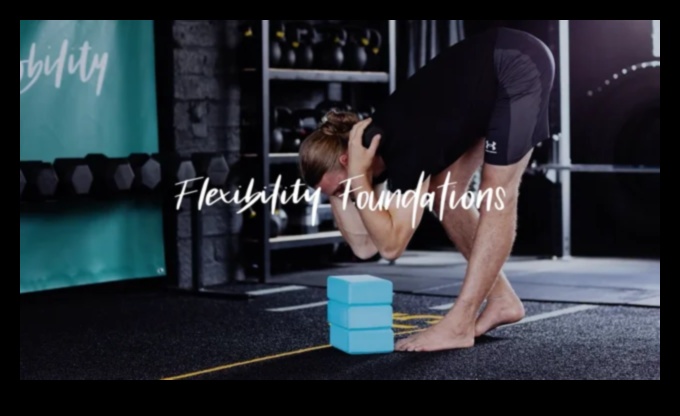 Elastības pamati: dinamiskas dzīves celtniecības bloki